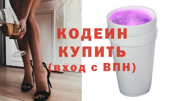СК Вязьма